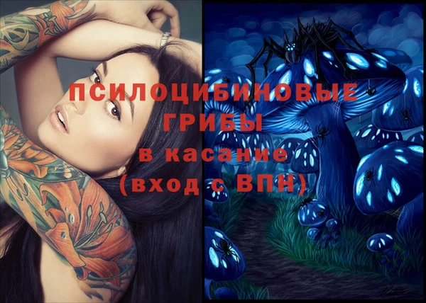 винт Осташков