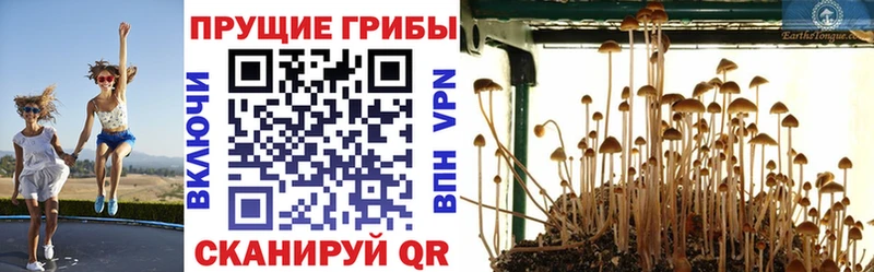 Псилоцибиновые грибы MAGIC MUSHROOMS  это официальный сайт  Спас-Клепики 